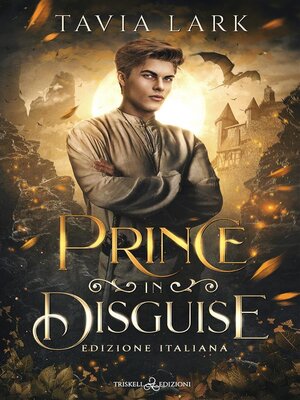 cover image of Prince in disguise